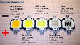 Spezielle LEDs für die Aquaristik 